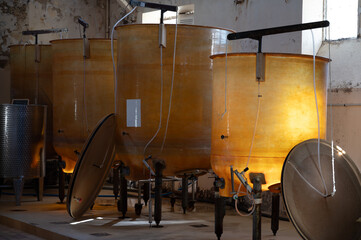 Harvest works in Pauillac, Haut-Medoc wine making region of Bordeaux, picking, sorting with hands,...