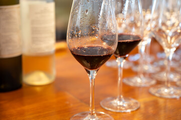 Wine tasting in old wine domain, Saint Estephe village, Haut-Medoc vineyards in Bordeaux, left bank...