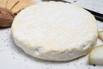 French soft Cremeux de Normandie cheese, soft creamy cheese with white mold