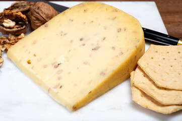 Piece of Dutch Gouda cheese made from cow milk with added walnuts close up