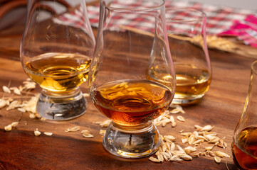 Tasting of different Scotch whiskies strong alcoholic drinks, drum of whiskey and colorful Scotch tartan on background close up