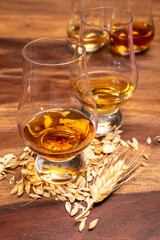Tasting of different Scotch whiskies strong alcoholic drinks, drum of whiskey and barley grains on table