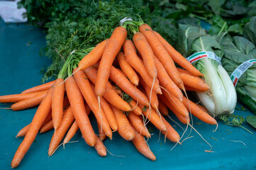 Fresh carrots on outdoor market with seasonal local vegetables and fruits