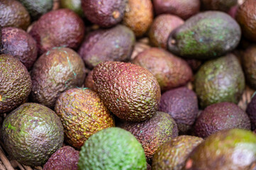 Many fresh ripe green organic avocados in box on farmers market in Spain