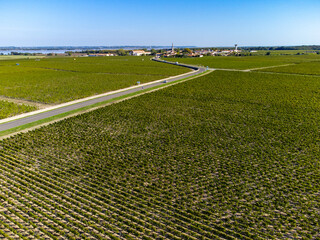 Aerial view on vineyards, Gironde river, wine domain or chateau in Haut-Medoc red wine making...