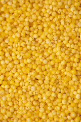 Background of raw millet seeds close up. Millet seeds texture.