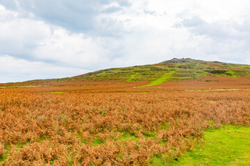 Fototapeta premium Dartmoor National Park in Devon England 