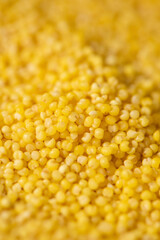 Background of raw millet seeds close up. Millet seeds texture.