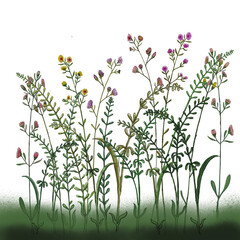 background with grass and flowers