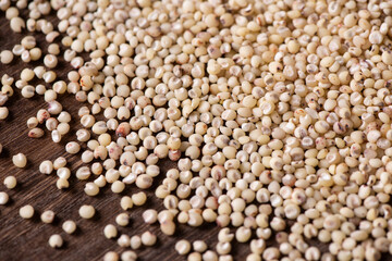 Sorghum seeds texture background. Whole seeds of Sorghum Moench