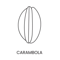 Star fruit carambola line icon in vector.