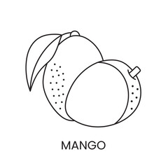 Mango line icon in vector, fruit illustration