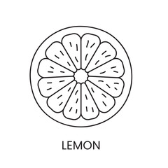 Lemon line icon in vector, citrus fruit illustration