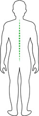 Spine Body Posture Type
