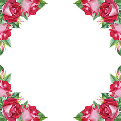 Frame with rose blooms, leaves and buds. Hand drawn watercolor illustration isolated on white background. For clip art cards invitation greeting label