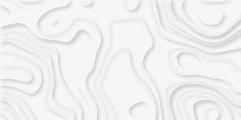 White abstract background. Modern papercut background. Abstract background with lines. White paper cut background. Abstract circle background. Modern papercut topographic background