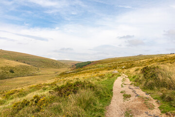 Fototapeta na wymiar Dartmoor National Park in south west England and Wistmans Wood
