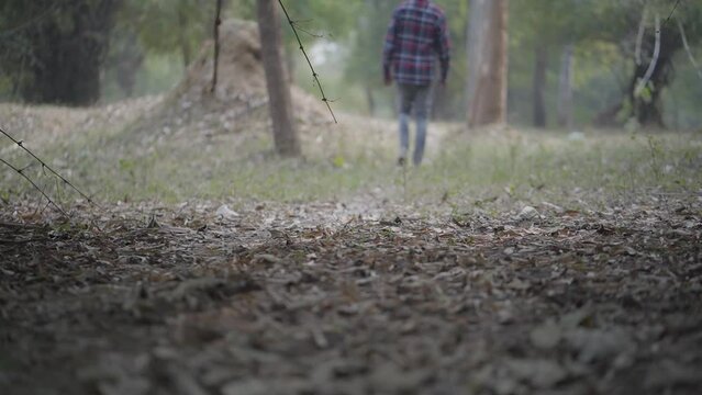 Young Boy Walking Tree Forest, Sad Boy Walking On Forest, legs of a person in a forest stock video