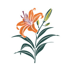 Lily Blooms: Vector Floral Elements in Colored Silhouette Illustration with Branches, Flowers, Leaves, and Buds