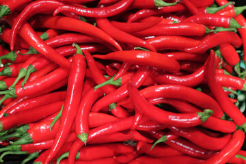 Closeup of chili peppers vegetables for selling lots of hot red chilly peppers
