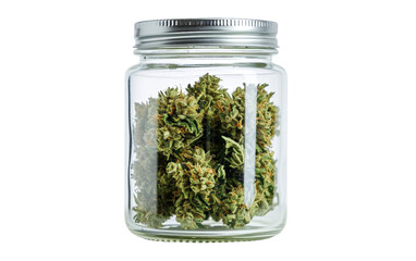 Cannabis On Transparent Background. - obrazy, fototapety, plakaty