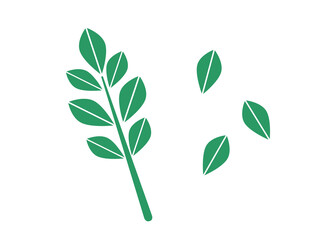 Naklejka premium 緑色の小枝と葉の北欧風イラストセット