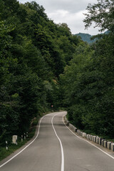 mountain road surrounded by forest