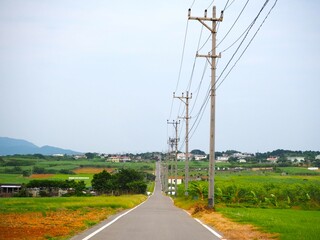 Sugar Road, across an idyllic landscape of cattle pastures and sugarcane fields