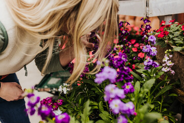 Woman leans down to smell flowers at local greenhouse - obrazy, fototapety, plakaty
