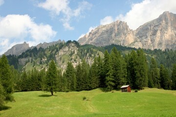 Fototapeta na wymiar Dolomite's landscape in Alta Badia