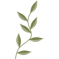 Aesthetic Minimalist Leaf 