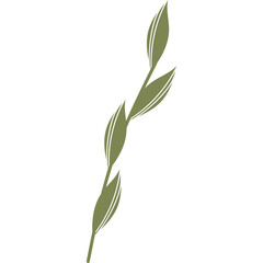 Aesthetic Minimalist Leaf 