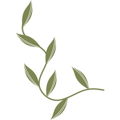 Aesthetic Minimalist Leaf 