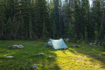 Secluded camping tent in serene forest wilderness