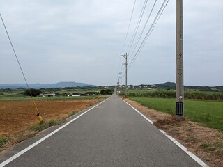 Fototapeta premium Sugar Road, across an idyllic landscape of cattle pastures and sugarcane fields