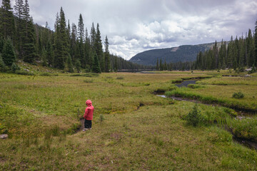 Obraz premium Young explorer trekking through wilderness beauty