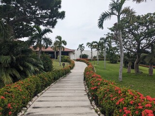 the beautiful garden of resot hotel in Okinawa Japan