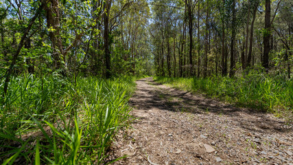 Activity Cresent Reserve, Queensland, 2023