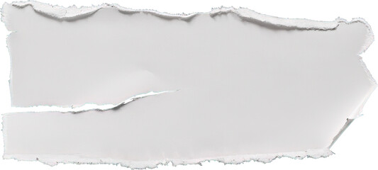 Fototapeta premium Torn paper sheet isolated on transparent background. PNG