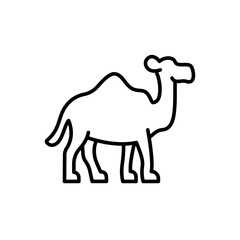 Camel outline icons, minimalist vector illustration ,simple transparent graphic element .Isolated on white background