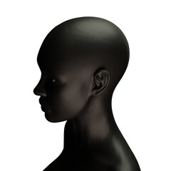 3d rendering woman afro from african style 