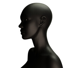 3d rendering woman afro from african style 