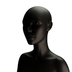 3d rendering woman afro from african style 