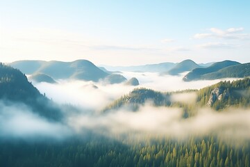 panoramic shot of a mountain forest with fog in valleys