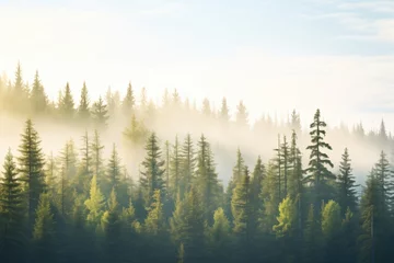 Foto op Plexiglas mist hanging over a silent, early morning coniferous forest © Natalia