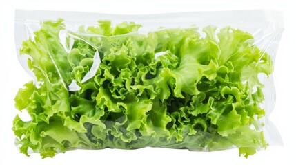 isolated plastic transparent vacuum bag with fresh salad lettuce  