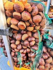 Harvested chestnut bundle