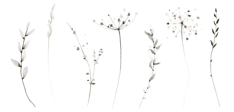 Watercolor floral set of beige, gray, brown dry wild herbs, spikelets, branches, twigs. Traced vector drawing.