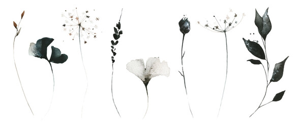 Watercolor floral set of black, gray, brown wild flowers, spikelets, ginko biloba leaves, branches, twigs. Traced vector