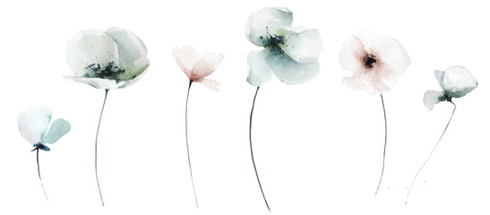 Watercolor floral set of blue, gray, pink poppy, rose, peony flowers. Traced vector watercolour clipart drawing.